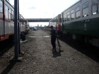 �Ή��w�\��